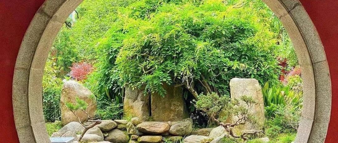 4月底Facebook悄悄的算法小更新 - 猜测