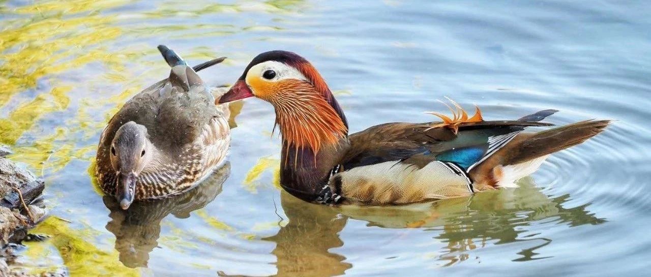 出海投放 Twitter 投放总结 - 4