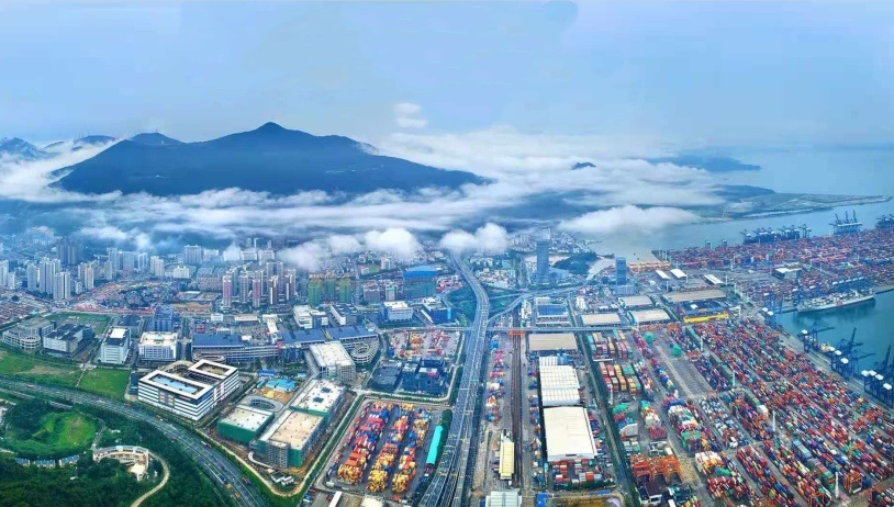 重磅预警！多地外轮船员确诊，盐田港面临严重拥堵！船公司采取紧急措施