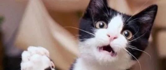 中秋福利，所有eBay卖家PLA广告开放权限