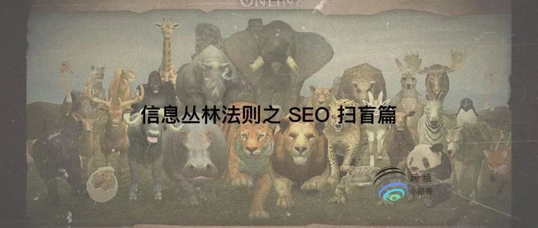 信息丛林法则之 SEO 扫盲