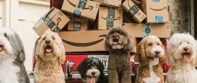 亚马逊废物日记：如何高效地做好竞品分析