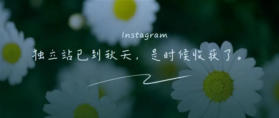 如何在 INSTAGRAM 上推广独立站？