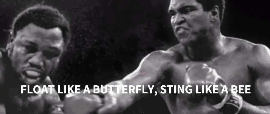 拳王Ali给打来一击重拳，怒告400+店铺，附被告名单