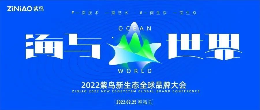 亚马逊卖家不想内卷，怎样才能躺赚“一爽”和“一薇娅”？