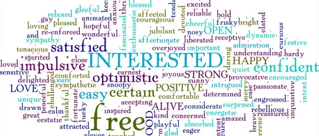 聚焦！Anker的出单词原来是这些！