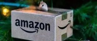 第四季开始了，应该如何备货呢？——亚马逊OA模式运营笔记