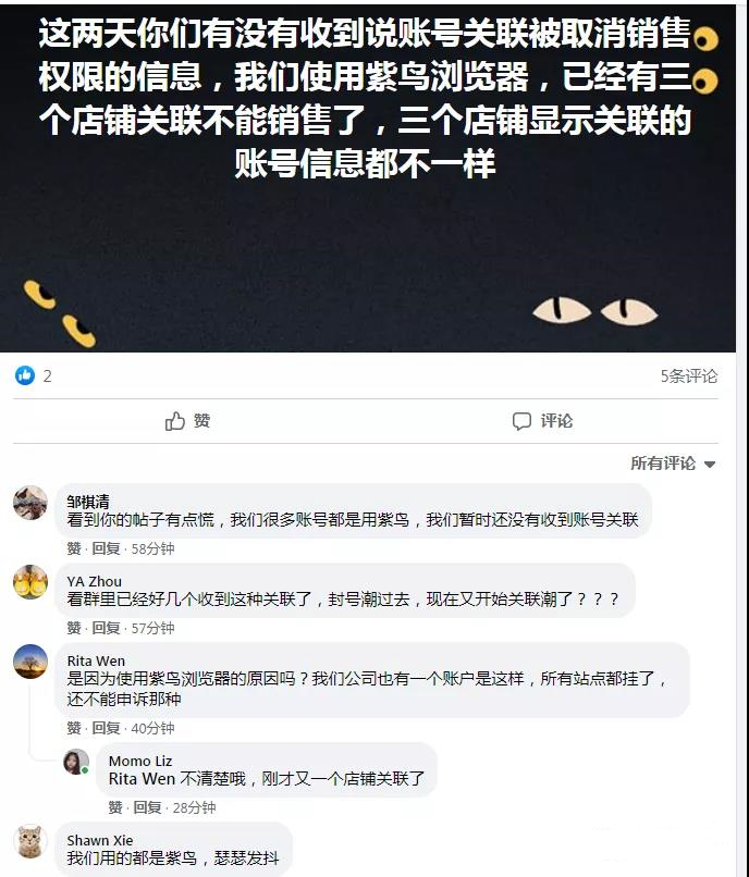 卖家“关联潮”来袭！为何宝莲云纯净VPS却风平浪静？