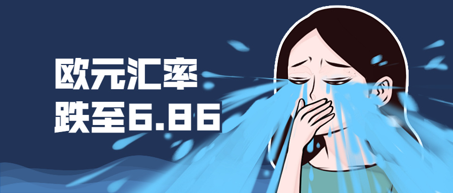 卖家将见证历史？欧元汇率爆炸！提价却困难重重？