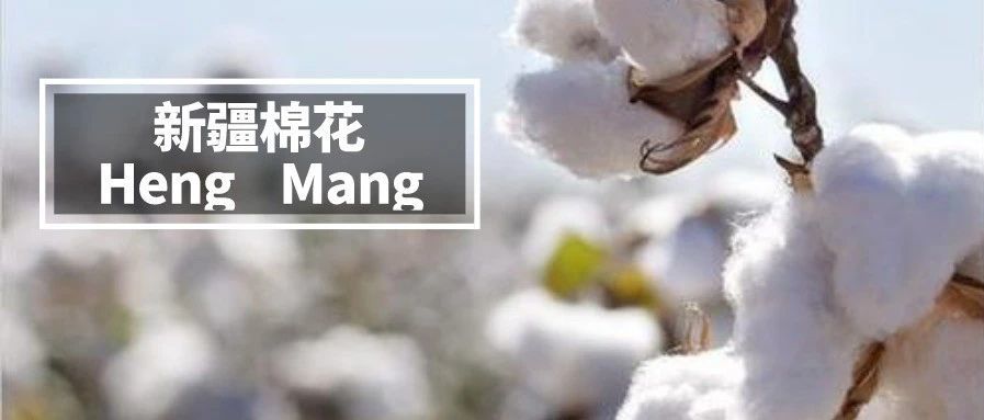 亚马逊也要禁售中国新疆棉花制品？卖家圈炸锅了！