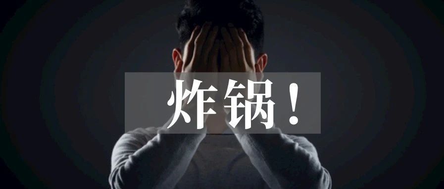 早期评论人关停！Vine计划替代？当心两大缺陷！