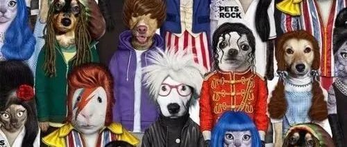 Keith律所又发新案！品牌是PETS ROCK，宠物爱好者最爱？案件号22-cv-1663，迅速自查！