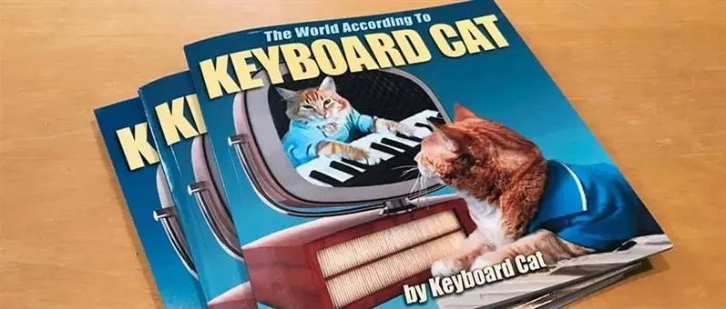 [22-2353]Keith代理Keyboard Cat 键盘猫发案，TRO已被批准[22-cv-2353]
