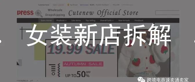 月销近3万美金的速卖通新店是如何炼成的？--速卖通店铺拆解