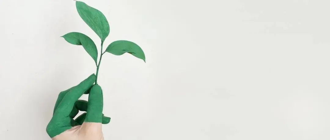 内卷的开始，干才有希望！