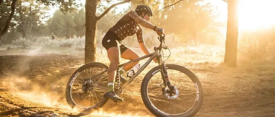 双碳之下的两轮产品究竟有多火爆？