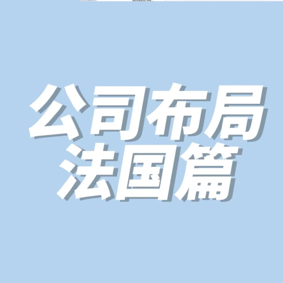 海外公司布局——法国篇