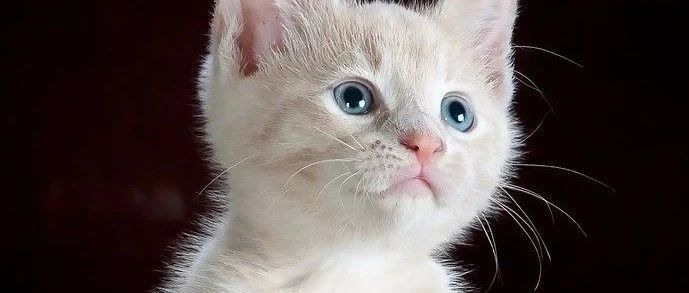 各国查询进口关税官网及全球国家海关网址大全！