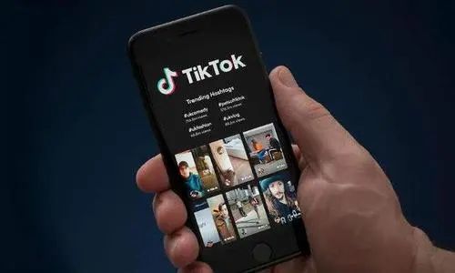 掌握TikTok商业化玩法，把TikTOK“流量”引爆直播间
