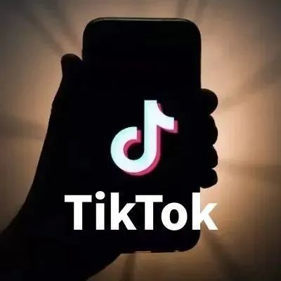 TikTok跨境要做不下去了？为什么小店审核一直下不来