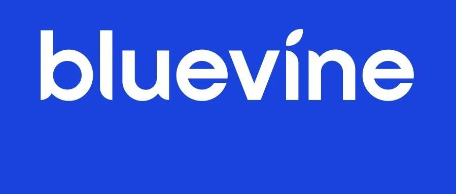 Bluevine：专为中小企业设计的银行解决方案
