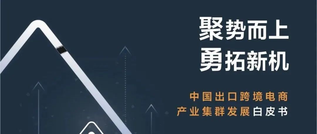 《跨境电商产业集群白皮书》发布，你在哪个群