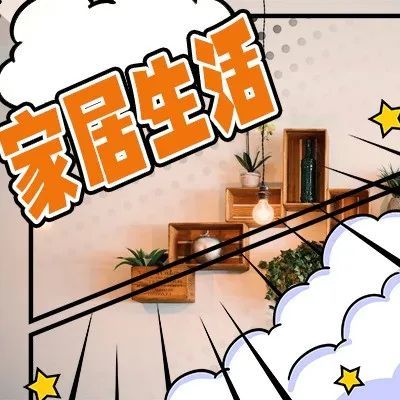 海外网红营销经典案例之家居生活行业