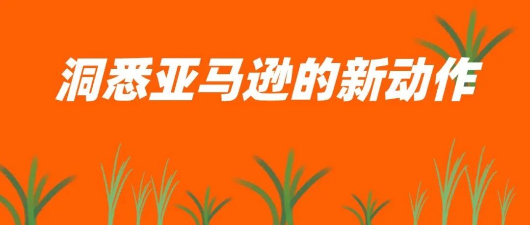 亚马逊推出账户健康保障！还整“人脸识别”来验证卖家身份？