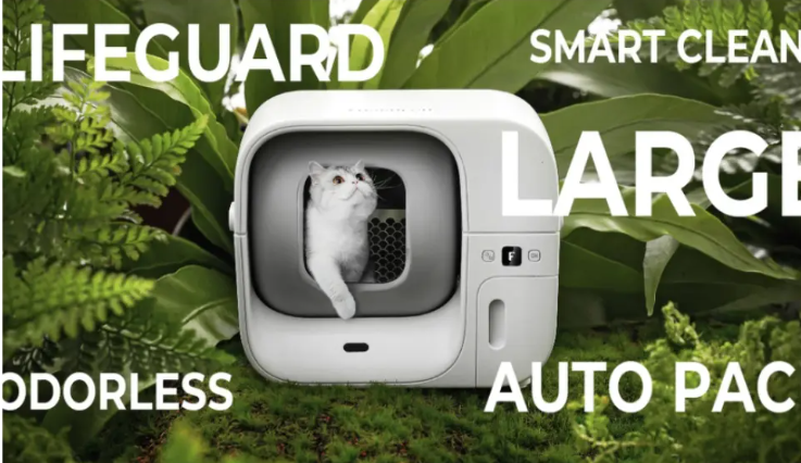 出海品牌“Furbulous”完成天使轮融资