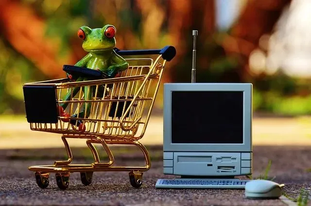 online-shopping-1082733_640.jpg