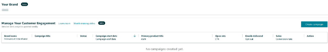 亚马逊官方新功能！直接给客户发营销邮件！