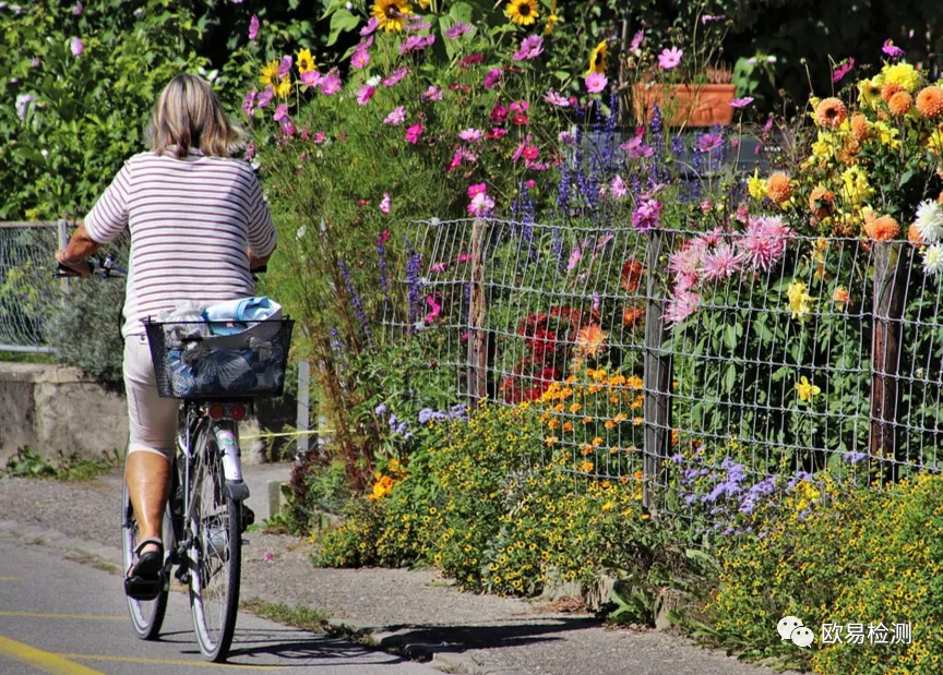 bike-4569776_960_720.jpg