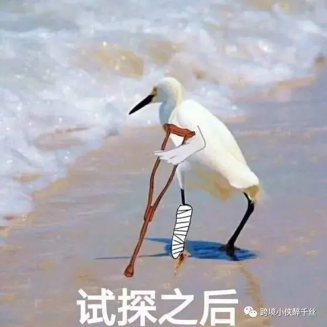 https://image.ipaiban.com/upload-ueditor-image-20220223-1645602903758098619.jpg