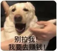 硅胶产品红利,Pump Pal无专利,短期可推!