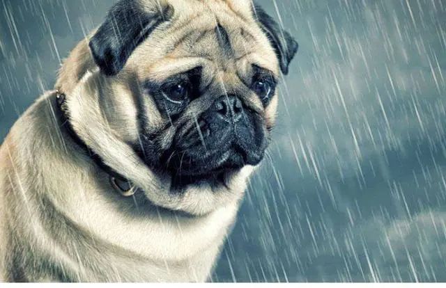 终于！美西码头工人劳资双方签署协议，结束长达13个月的谈判