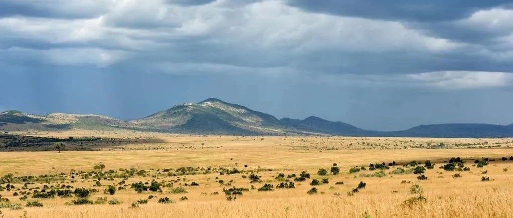 聊聊亚马逊运营中的那些“危险品”