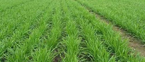 你的产品卖点是什么？