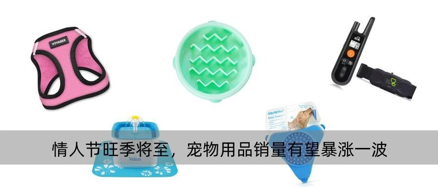 情人节旺季将至，宠物用品销量有望暴涨一波