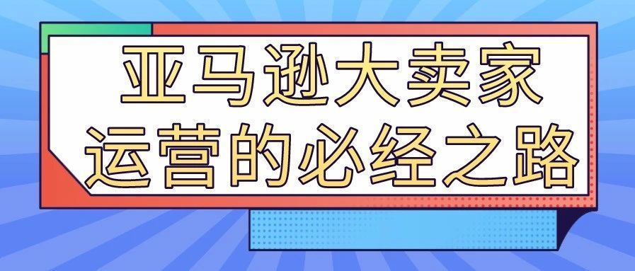 一文读懂亚马逊大卖家运营的必经之路