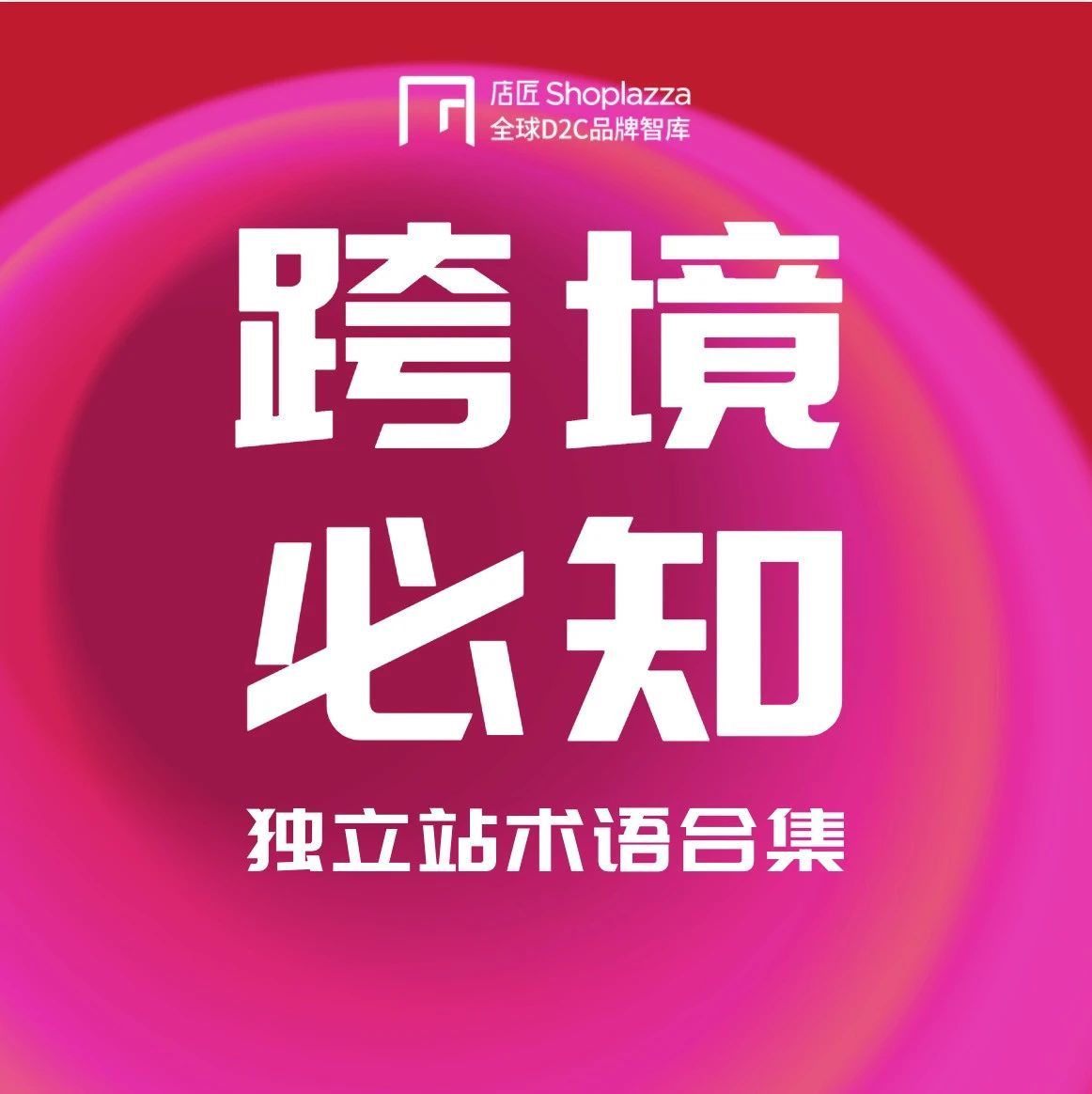 【跨境必知】跨境电商独立站术语集合（一）广告流量