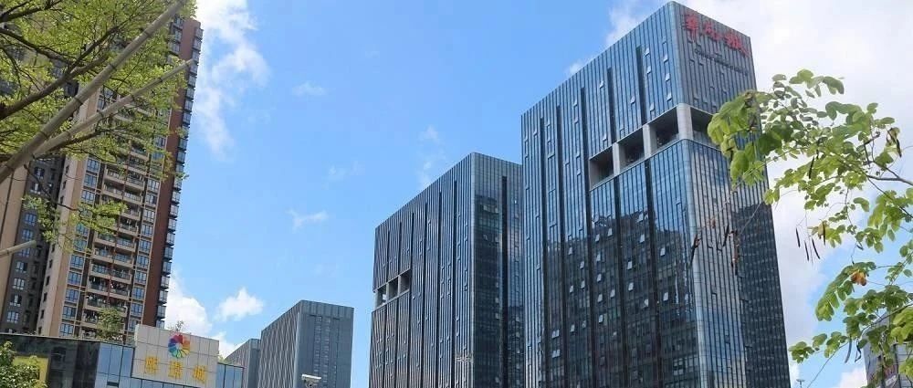 看他们吐槽那些呆过的不靠谱跨境电商公司