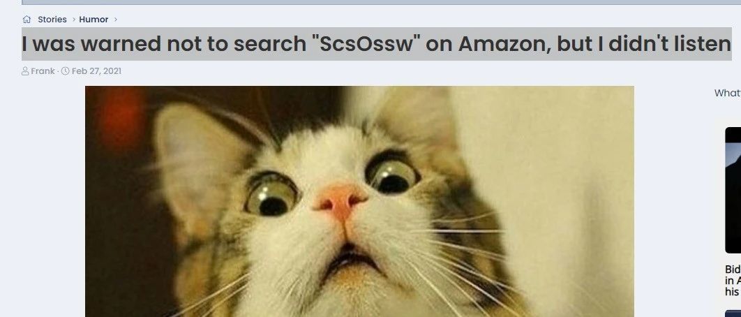 敢不敢在亚马逊上搜索 Scsossw,搜索量暴涨的一个词