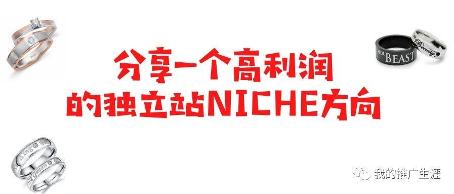 分享一个高利润的独立站niche方向