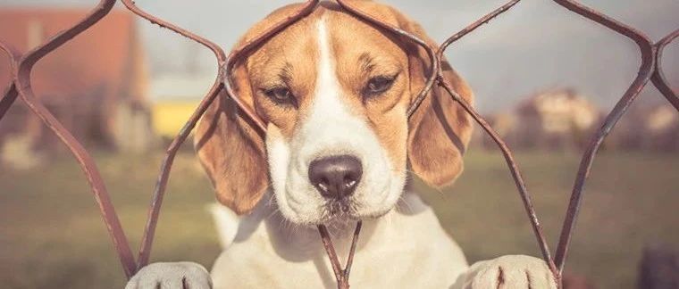 做亚马逊运营，你爱学习吗？