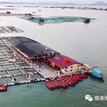 中俄海运和铁运集装箱运费大幅下降