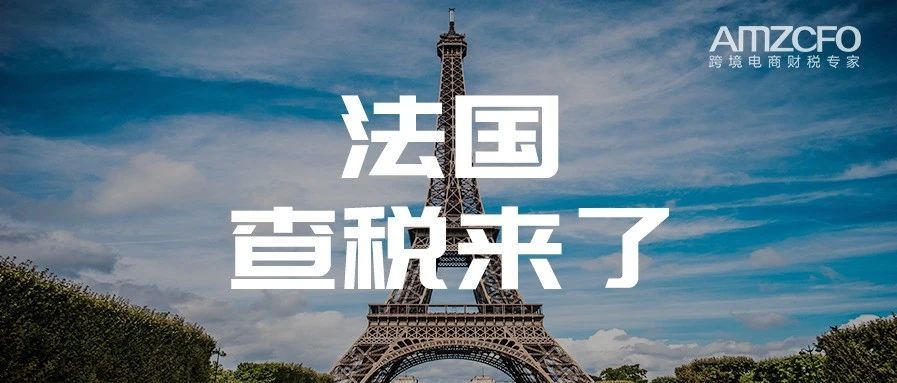 法国查税，合计竟要交495万欧元！