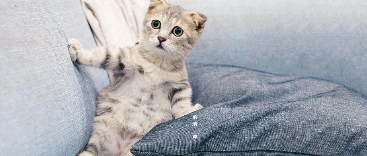 亚马逊SEO与谷歌SEO的异同