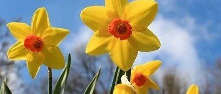 盘点所有亚马逊关键词反查工具，摸清竞品的老底！