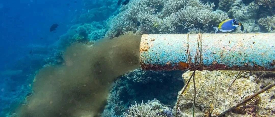 美国支持日本125万吨核废水排入大海！中国网友愿意众筹运费，把核废水运到美国！