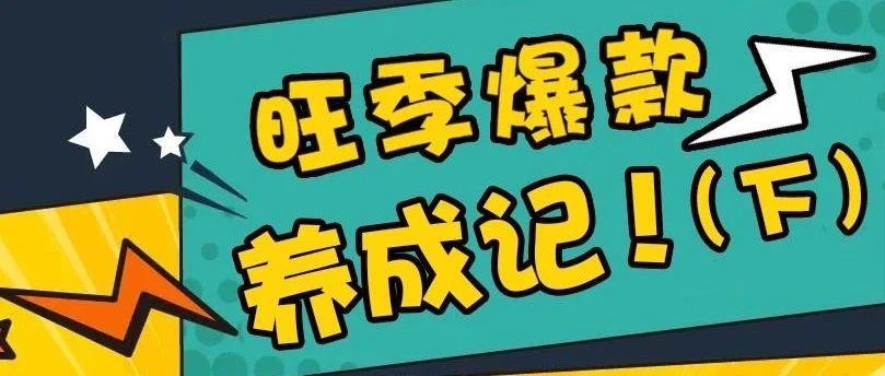 高能预警，旺季爆款养成记（下）